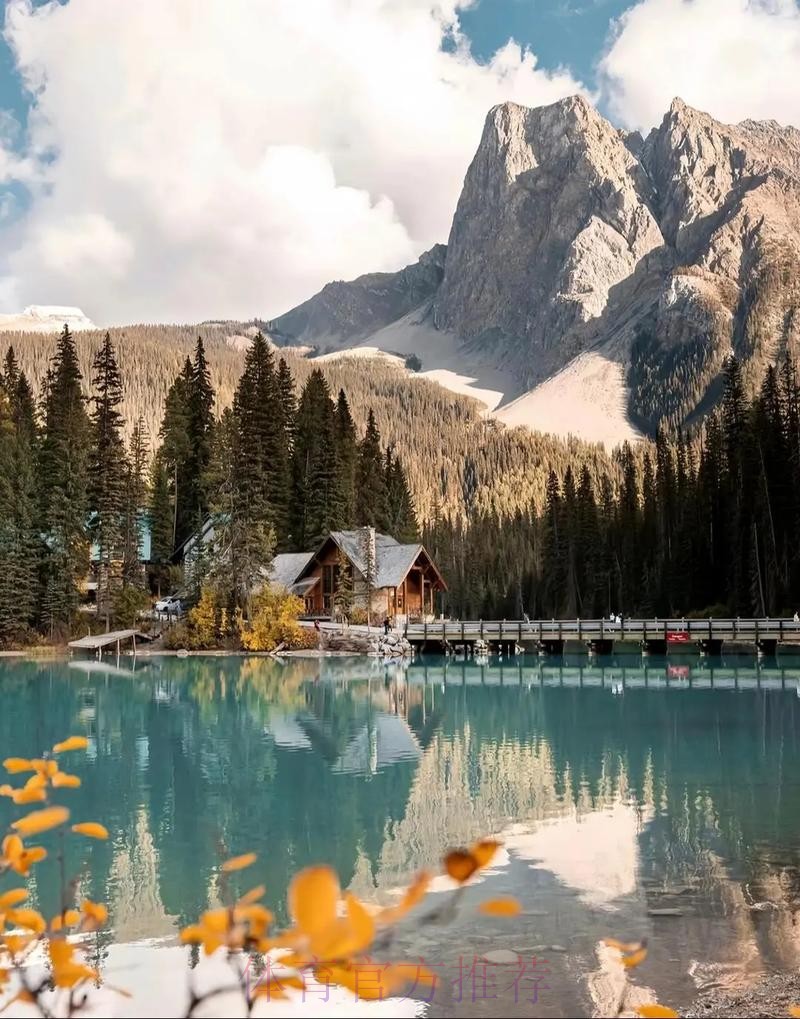 2026美加墨世界杯热门球队哪个平台好 2026美加墨世界杯热门球队哪个平台好